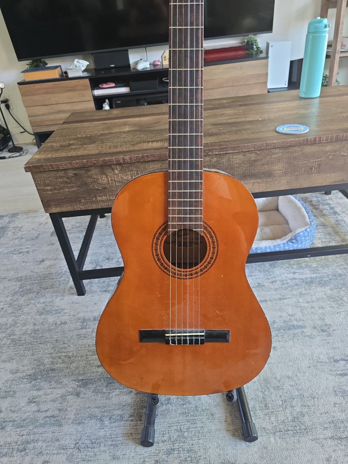 Fender Acoustic Guiter w/ stand
