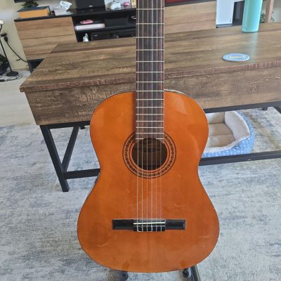 Fender Acoustic Guiter w/ stand